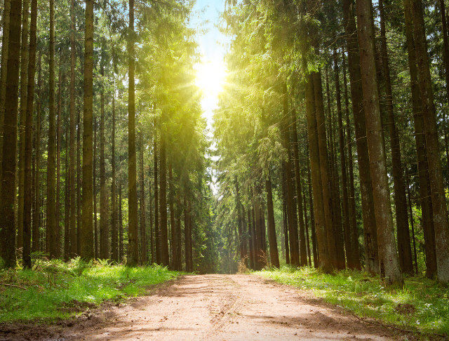 Sustainability
