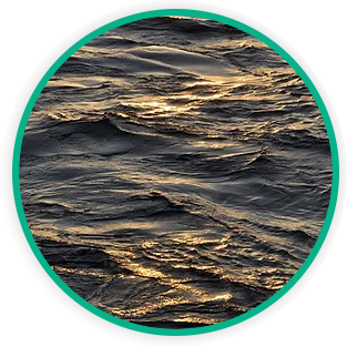 Request Paper Materials