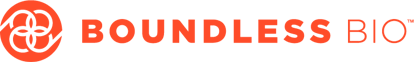 Boundless Logo